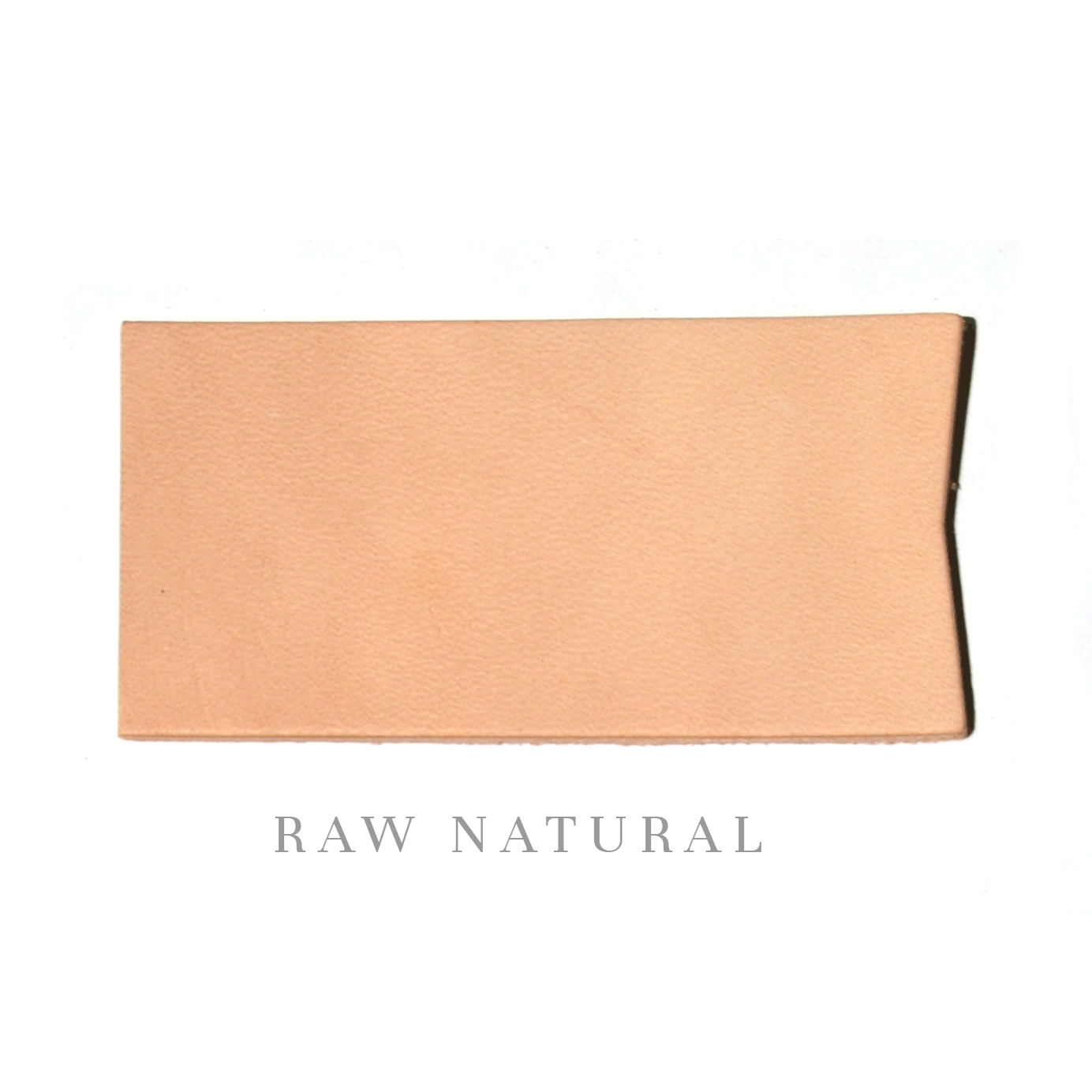 ENVELOPE CARD CASE